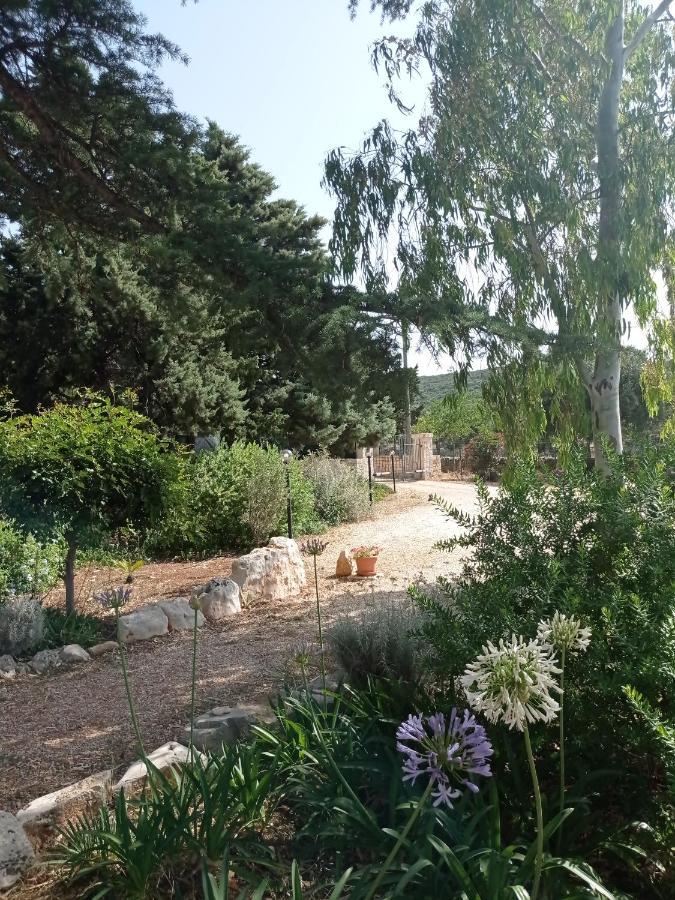 Dimora Dalia - Puglia Mia Apartments 莫诺波利 外观 照片